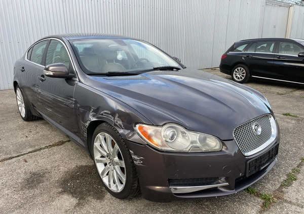 Jaguar XF cena 16700 przebieg: 244580, rok produkcji 2008 z Nysa małe 466